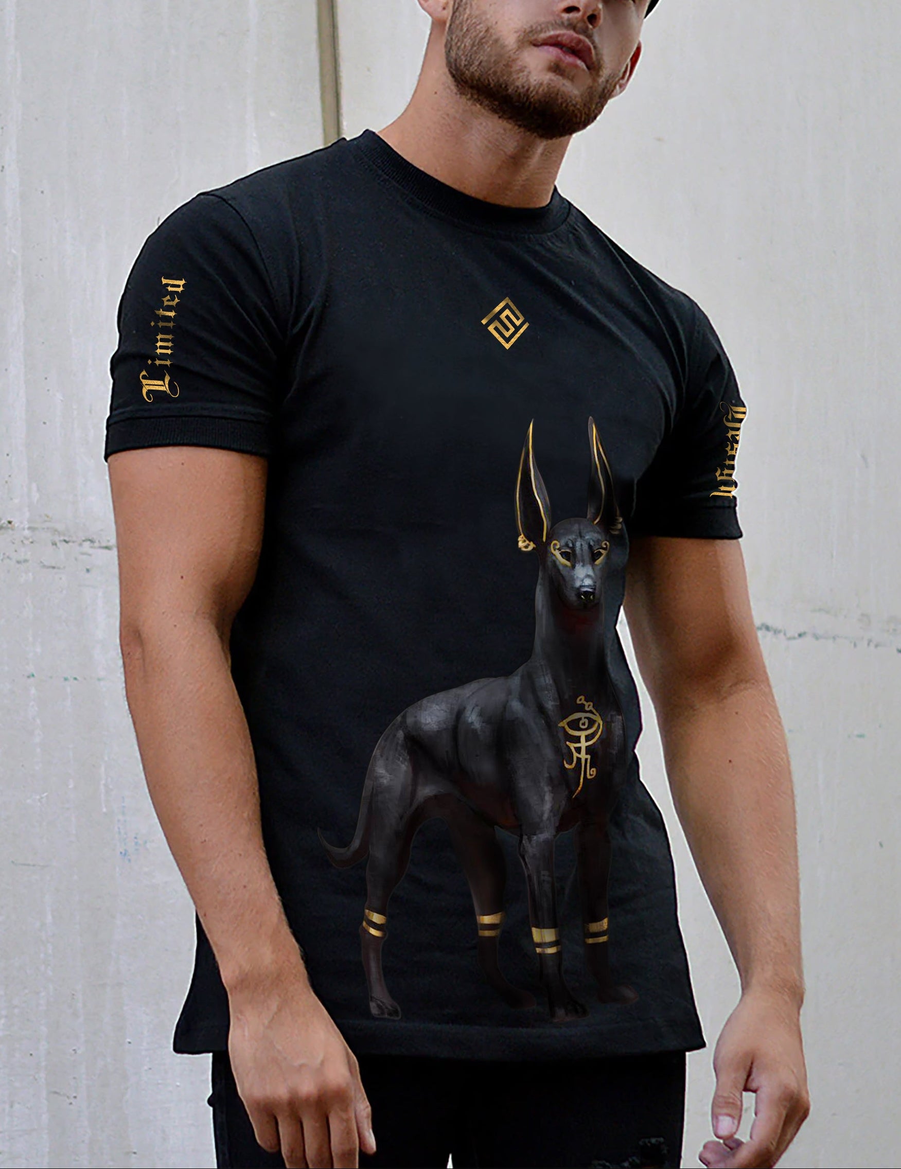 FesFas anubis-print T-shirt | Black