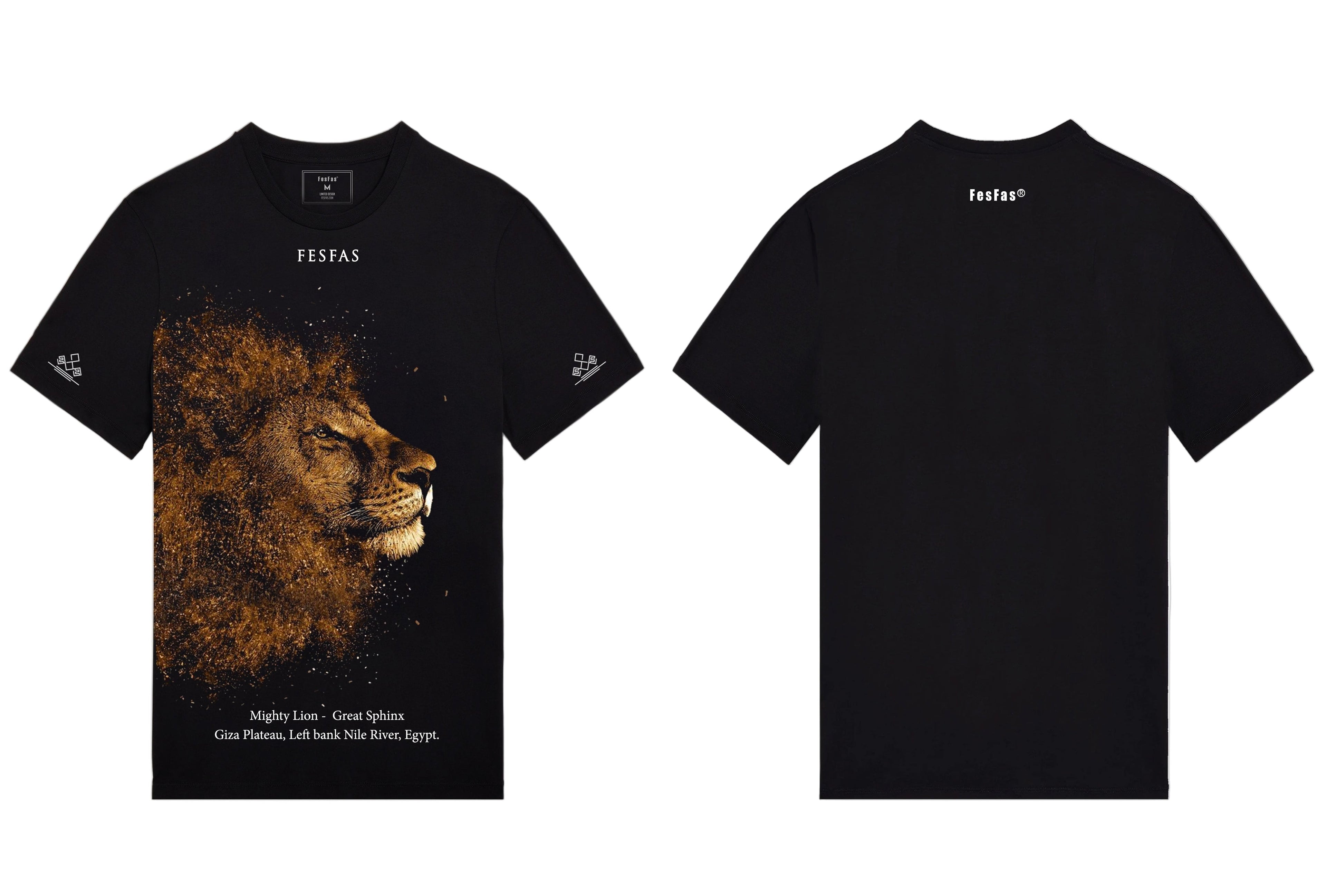 FesFas lion-print T-shirt | Black