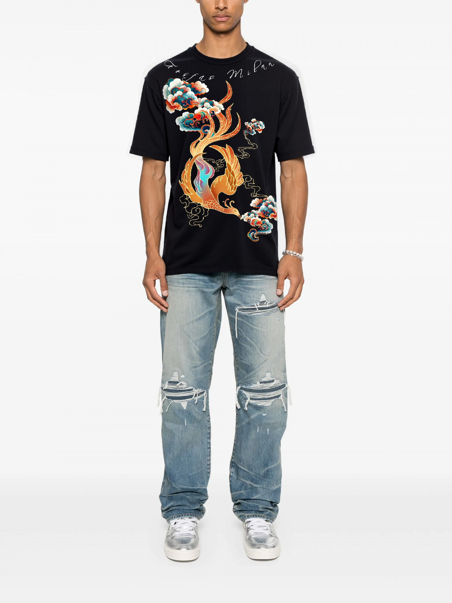 FesFas cloud phoenix-print T-shirt | Black