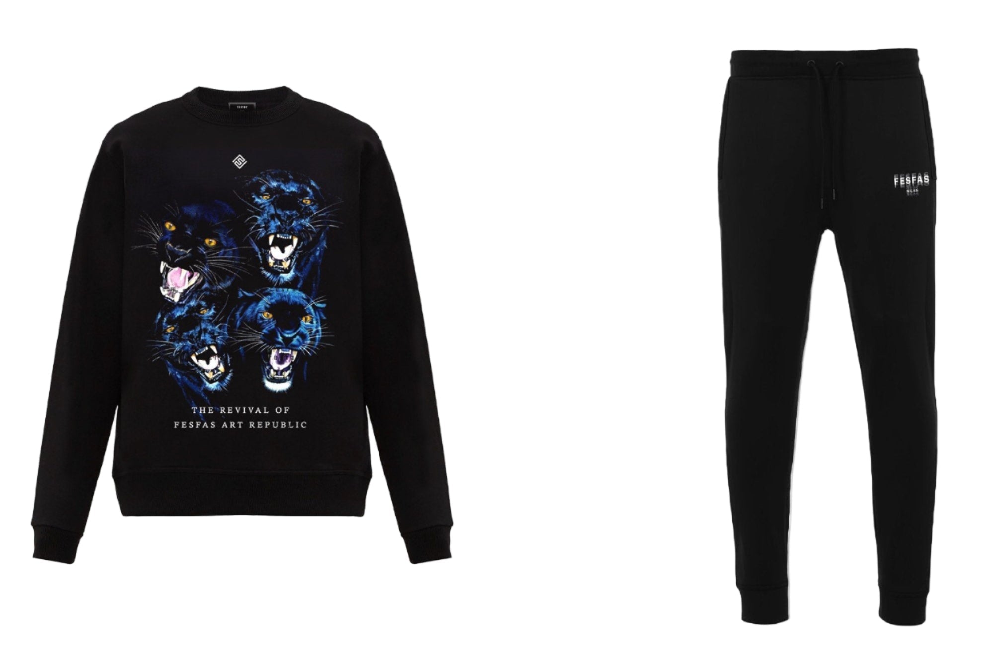 FesFas Panthers-print Sweatshirt | Black