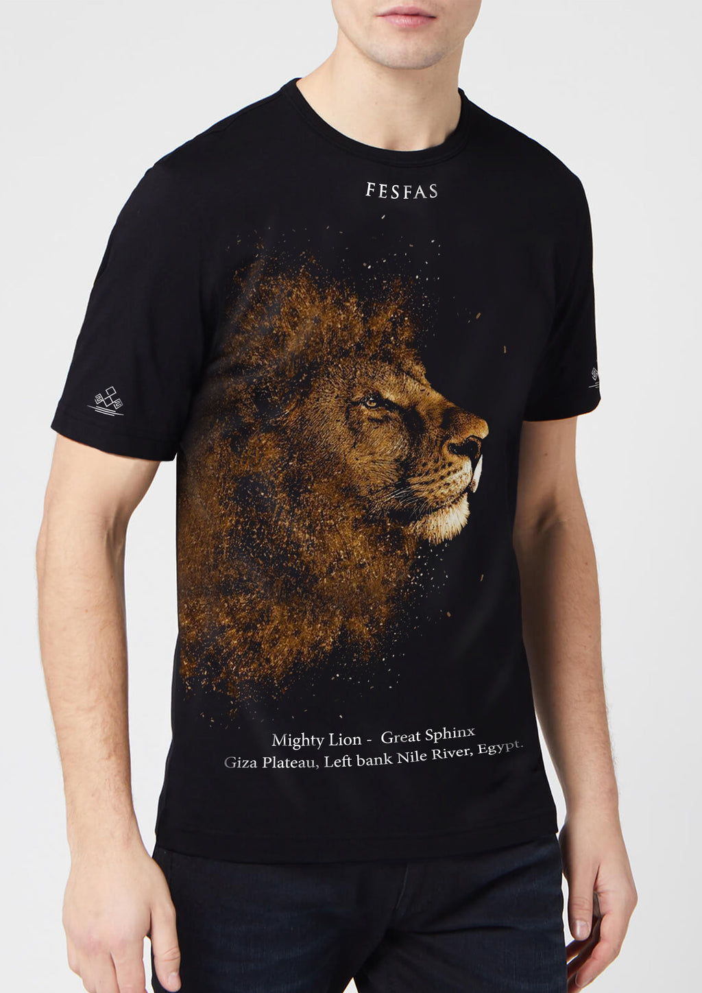 FesFas lion-print T-shirt | Black