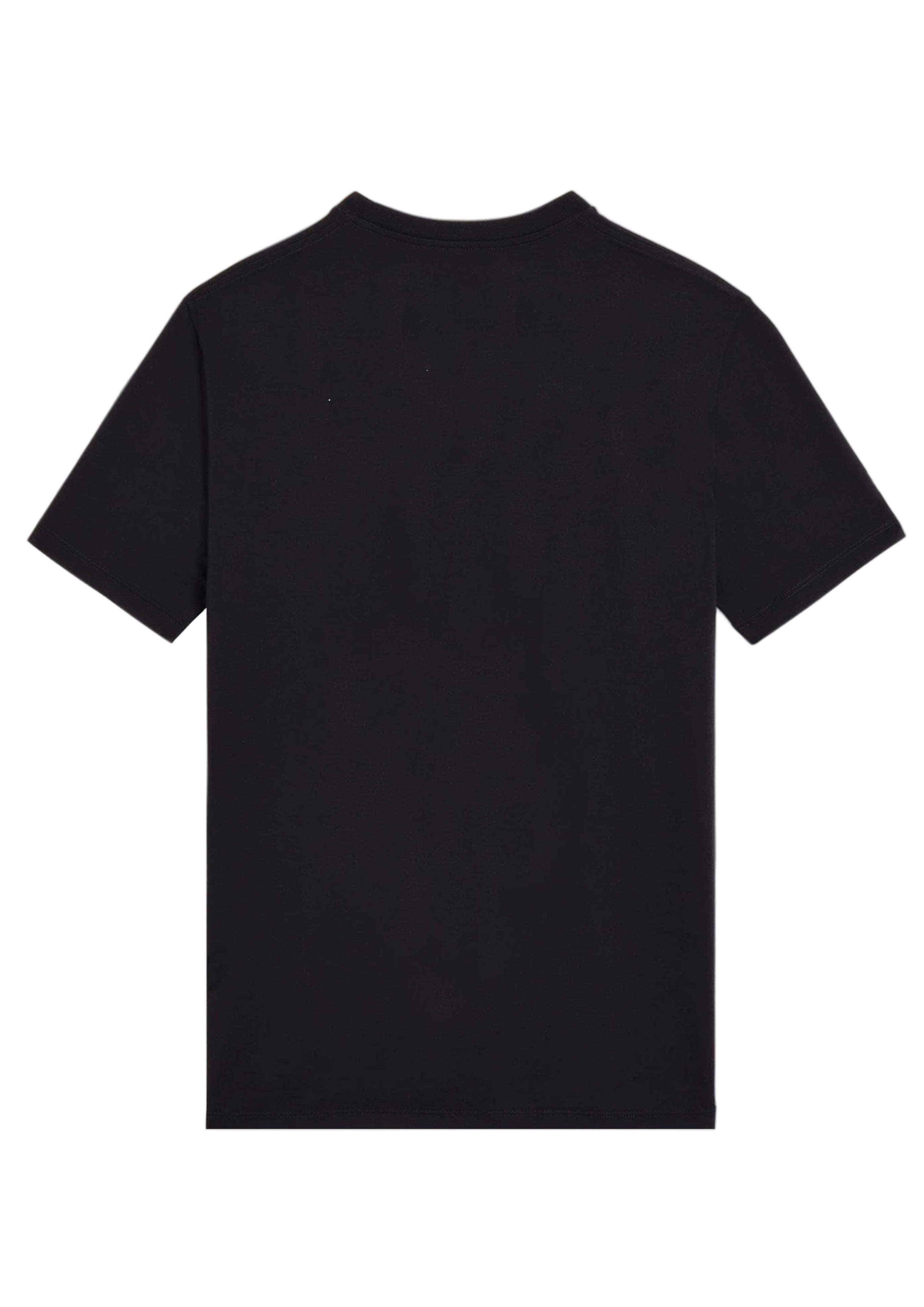 FesFas parrots-print T-shirt | Black | Men