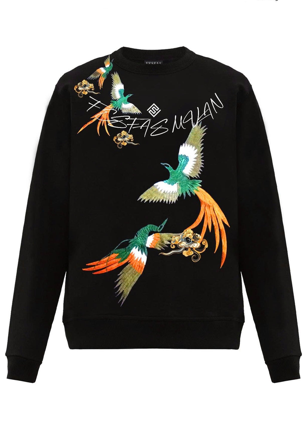 FesFas Phoenix-print Sweatshirt | Black